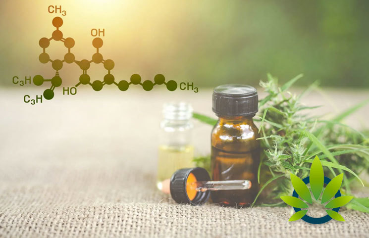 Clearing Up the CBD Misconception Regarding Fatigue and Drowsy Effects