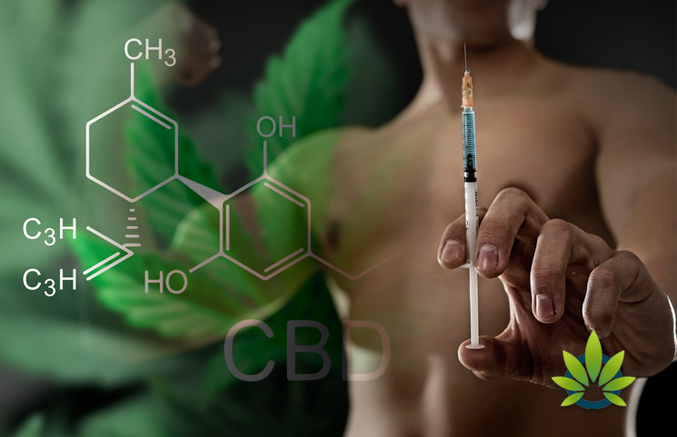 CBD as an Alternative Steroid: Is Cannabidiol a Viable Option to Use?