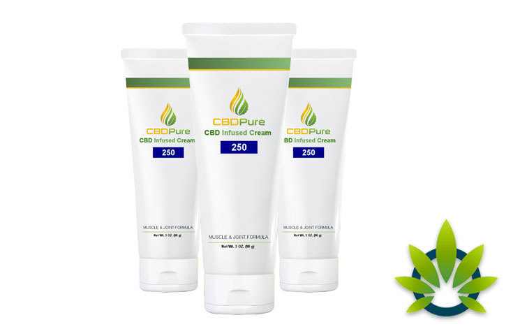 CBDPure Cream