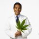 CNN Special Report 'WEED 5: The CBD Craze' by Dr. Sanjay Gupta Review