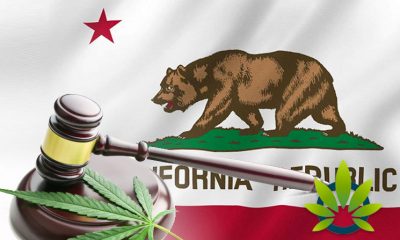 California's Hemp-Derived CBD Legislation for Foods, Drinks and Beauty Products Delayed to 2020