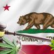 California's Hemp-Derived CBD Legislation for Foods, Drinks and Beauty Products Delayed to 2020