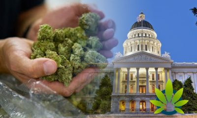 California's Senate Bill 51, on the Cannabis Charter Bank, Expected to take Effect Immediately?