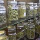 California’s Unlicensed Cannabis Market Three Times as Big as Legal Market, UCBA Claims