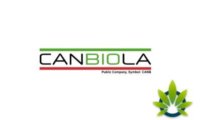 Canbiola CBD: CBD Products Review and Company Guide
