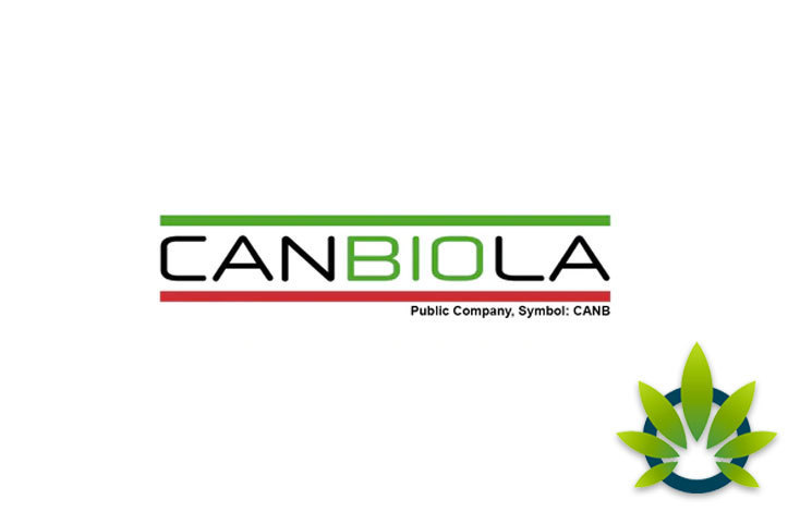 Canbiola CBD: CBD Products Review and Company Guide