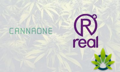 CannaOne to Acquire Real Life Sciences for the duo’s BWell CBD Market