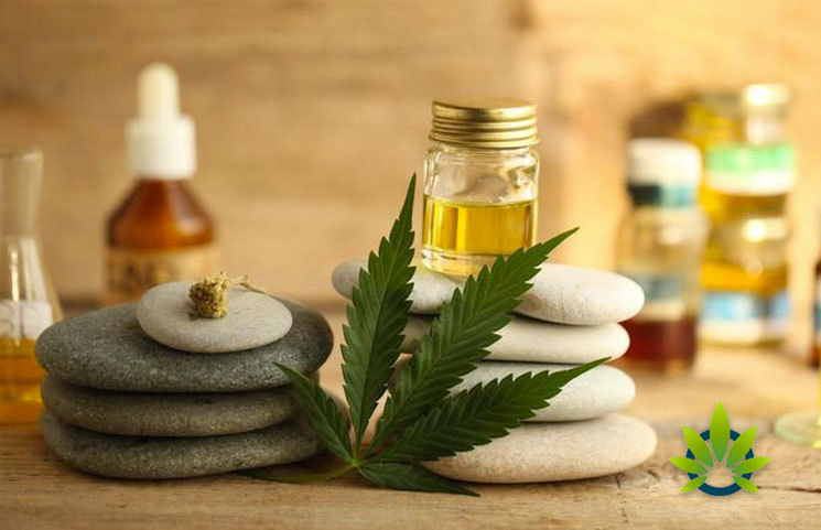 Cannabidiol-CBD-is-Best-Selling-Herbal-Supplement-in-Natural-Sector-of-US