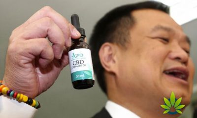 Cannabis Extract Oil is Coming to State-Run Hospitals in Thailand