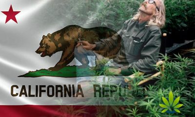 Cannabis-Grower-Receive-Warning-from-California-Water-Board