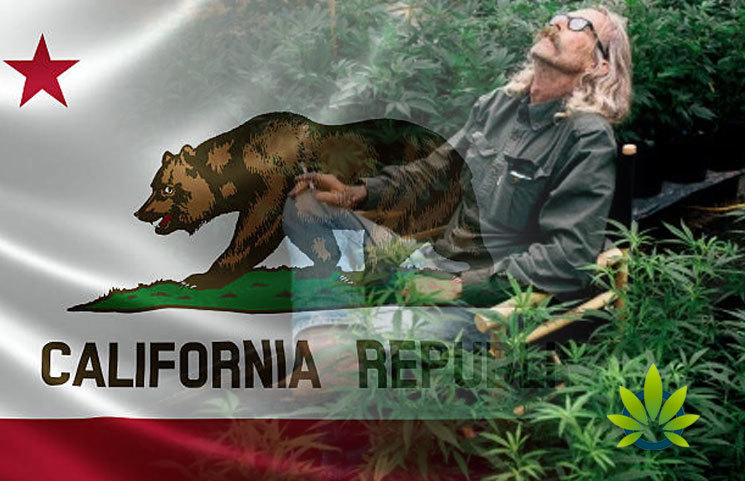 Cannabis-Grower-Receive-Warning-from-California-Water-Board