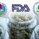 Cannabis Legalization on Purview of Three Federal Agencies (DEA, FDA, EPA)
