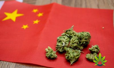 China Is Confident in CBD Industry’s Potential to Skyrocket