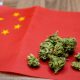 China Is Confident in CBD Industry’s Potential to Skyrocket