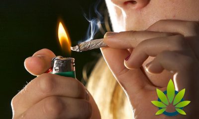 University of Michigan Survey: College Students Using Cannabis Reaches New High in Nearly 40 Years