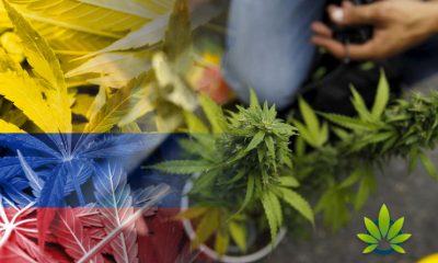 Colombia-and-Marijuana-Legalization