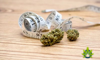 cbd for Weight