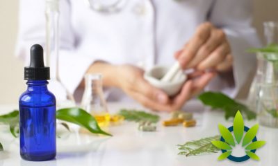 Global Cannabinoids Research: Hemp CBD Skincare Products Demand is Soaring Over Oral Use