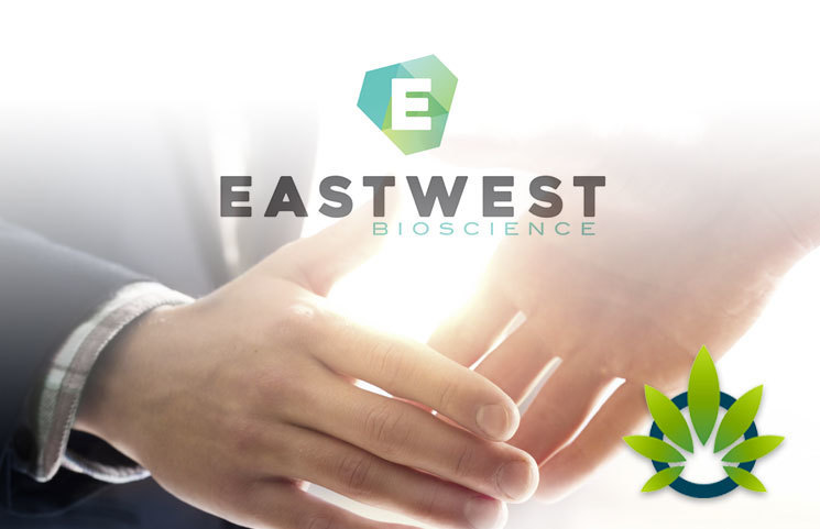 EastWest, Azema Partner to Supply High-CBD Organic Hemp and CBD as Crude Oil, Distillate and Isolate