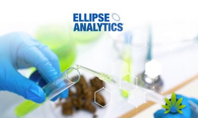Ellipse-Analytics-Tests-Over-250-Popular-CBD-Products-and-Whopping-45-Contains-THC