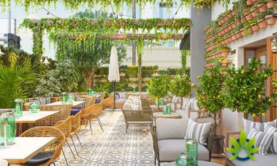 First Cannabis Cafe in the United States Makes a Home in Hollywood