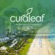 Curaleaf Becomes First to Debut Medical Cannabis Tablets to Florida Patients