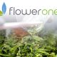 Flower One Opens Nevada's Biggest Tech-Savvy Cannabis Extraction and Production Facility