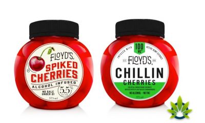 Floyds-Beverages-to-Introduce-Spiked-and-Chillin-CBD-Cherries-In-Las-Vegas-At-the-NBWA-Show