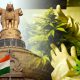 Indian Government, CIMAP and Finance Ministry Green Light Cannabis Seed Oil Research