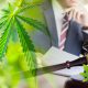 Government's New Cannabidiol and Marijuana Research Expansion Act Will Boost CBD Clinical Studies