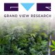 Grand View Research Report: Cannabis Cultivation Market to be Worth $45.4 Billion in Next 7 Years