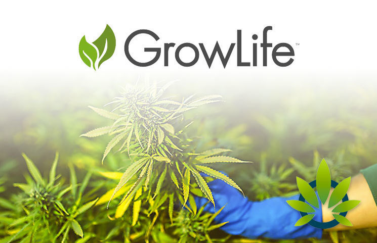 GrowLife Enters $2.5 Million Deal Allowing Them to Include CBD-Rich Hemp Clones as Offerings