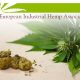 Hemp Association Proposes New Terminology for CBD and 3 Ingredients in the EU Cosing dDatabase