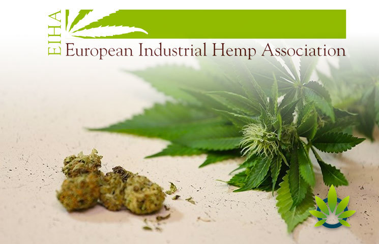 Hemp Association Proposes New Terminology for CBD and 3 Ingredients in the EU Cosing dDatabase