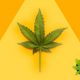 High-Ranking Democrat Vends “Gateway Drug Theory” to Shut Cannabis Legalization Campaign