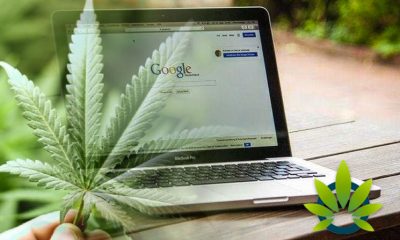How Will Google Treat CBD After No Longer Featuring Ads for “Unproven or Experimental Medicine Techniques”