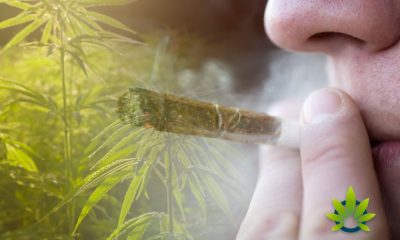 Indiana’s Ban on Smokable Hemp Is Unconstitutional Per Federal Judge's Ruling