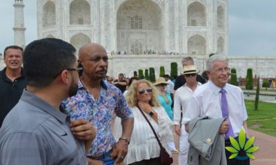 India's Cannabis Research Interests Montel Williams
