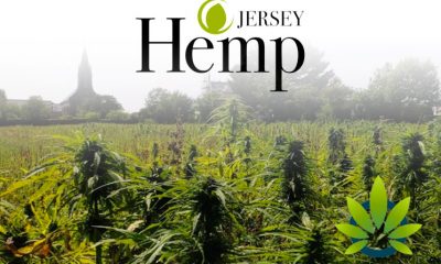 Jersey Hemp Granted First License to Make CBD from Legally Cultivated Hemp Flowers