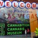 Las Vegas Superstore Planet 13 to Welcome Cannabition Cannabis Art Museum in 2020