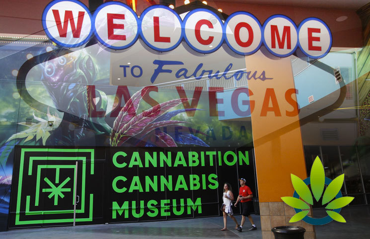 Las Vegas Superstore Planet 13 to Welcome Cannabition Cannabis Art Museum in 2020