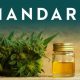 Mandara Offers Consumers Both CBD Products and Wellness Coaching