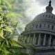 Marijuana-Banking-Bill-Approved-by-House-and-Heads-to-Senate-Lawmakers-and-Advocates-React
