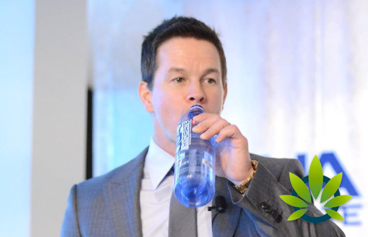 Mark Wahlberg, Sean 'Diddy' Combs and Jillian Michaels Join the CBD Craze