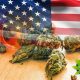 Medical Marijuana Progresses Across the US, Except for These Three States