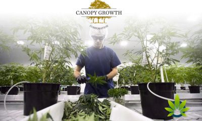 Canopy Growth Opens New Prescriber Training Program in Montreal