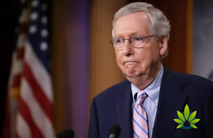 Mitch McConnell Shares CBD Products Draft to Urge FDA to "Issue a Policy of Enforcement Discretion"