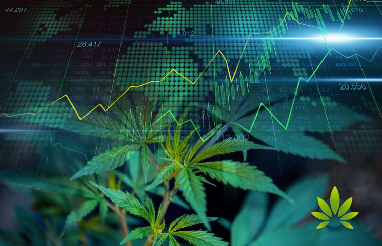 New Acosta Research: CBD Market to Hit $20 Billion by 2024, Provides Consumer Stats