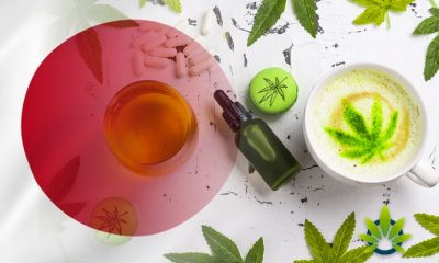 New-Age-Can-Finally-Launch-CBD-Products-in-Japan-Thanks-to-Approval-from-Government