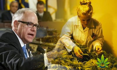 New Bipartisan Bill Presented to Promote Cannabis Research Efforts